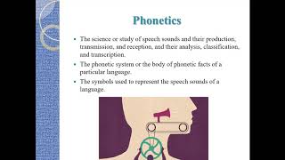 the definition of phonetics Branch of phonetics [upl. by Lady]