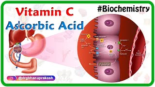 Vitamin C  Ascorbic acid Animation  MetabolismSources Synthesis  functions Scurvy [upl. by Ferde]