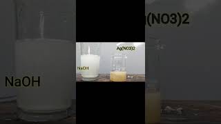 SILVER NITRATE REACT WITH SODIUM HYDROXIDE silvernitrate  sodiumhydroxide  brownppt ppt [upl. by Coop281]