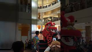 BARONGSAI DI BINTARO XCHANGE MALL INDOOR  KEMERIAHAN TAHUN BARU IMLEK 2023 shorts imlek2023 [upl. by Inah558]