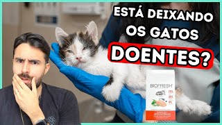 RAÇÃO BIOFRESH CAUSANDO PANCREATITE EM GATOS [upl. by Nylteak]