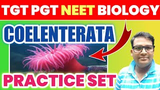 Coelenterata best MCQ  cnidaria mcq  TGT PGT LT GIC amp NEET Biology cnidariamcq coelenteratamcq [upl. by Eidnak43]