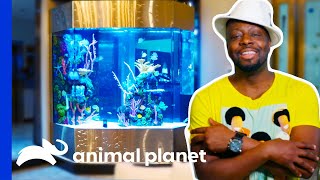 Wyclef Jean Celebrates Getting a Massive Caribbean Themed Tank  Tanked [upl. by Initsed50]