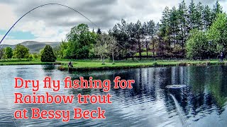 Dry fly fishing for Rainbow trout at Bessy Beck [upl. by Ennaeilsel]