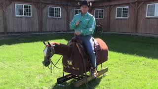 Guide to your horses inside ear  Steve Lantvit with Equicizer [upl. by Adyan]