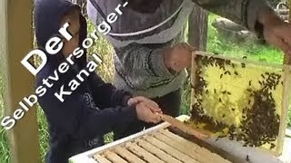 Bienen fuettern und ersten Blick in die Bienenkiste [upl. by Till169]