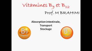 FOLATES ET VITAMINE B12 PARTIE2 [upl. by Fairfield538]