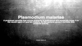 Medical vocabulary What does Plasmodium malariae mean [upl. by Greg]