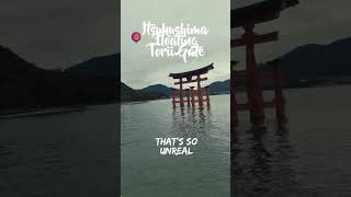 Miyajima Island is a must visit if youre in Japan [upl. by George]