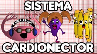 Dr Din EKG 1 Sistema Cardionector [upl. by Vincentia644]