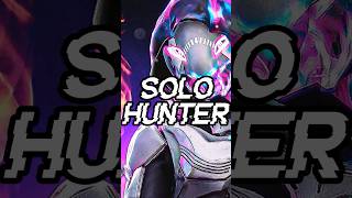 Do Hunters Have the Hardest Solo Damage [upl. by Oak]