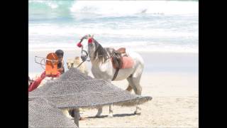 Sentido Djerba Beach [upl. by Filide258]