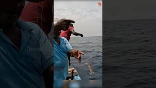 Deep Sea Fishing for Diamond Trevally fishing fishingvideo fishingtime [upl. by Osborn]