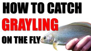 How to fly fish for Grayling flyfishing euronymphing drydropper [upl. by Nickolai285]