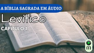 AUDIOBOOK A BÍBLIA NARRADA  LEVÍTICO CAP 1 [upl. by Aloisius]