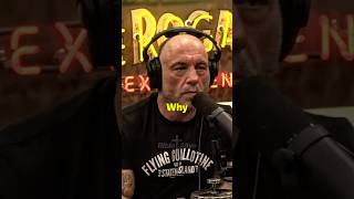 Why Did God Create War  Joe Rogan [upl. by Ydnat]