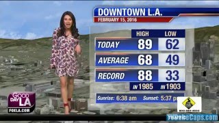 Araksya Karapetyan  FOX11 Los Angeles HD 02152016 [upl. by Cammy]