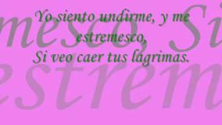 Aventura  Lagrimas Lyrics [upl. by Lovash657]