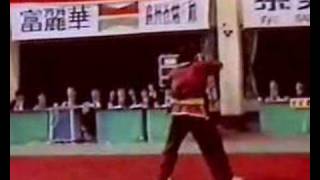 Wushu Sifu Li Yan Long San Jie Gun  Three sectional staff [upl. by Divan296]