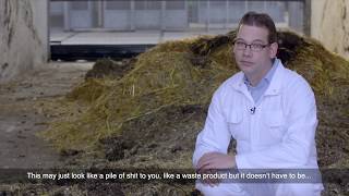 Using manure to grow insects for chicken feed [upl. by Sorvats]