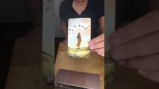 23924 TAGES TAROT ✨ tarot orakel tagesorakel [upl. by Marba]