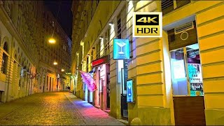 Night Walking Tour in Vienna Austria 4K HDR [upl. by Imij881]