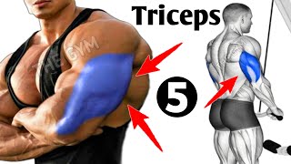 5 Best Triceps Exercises At Gym  Tricep Workout [upl. by Tenom]