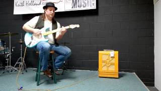 Epiphone Electar Amp Demo [upl. by Aynatan137]