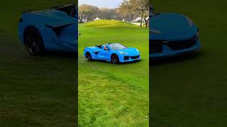 Cars amp Community Show 2024 Amelia Island Concours d’Elegance [upl. by Estele]