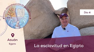 Día 4 La esclavitud en Egipto📍Asuán Egipto I Éxodo Peregrinación de la Libertad  Magdala [upl. by Forster]