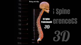 US Spine PreferenceCS medical animation 3d short  BiologywithAliya [upl. by Nadabas]