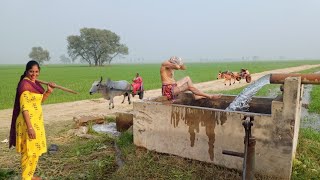 Traditional Village Life Pakistan In Winter  Unseen Culture  Stunning Pakistan [upl. by Delfine336]