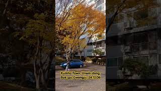 Kumho Town Unamdong Bukgu Gwangju Korea 241206 korea 아이유 Autumn in Korea [upl. by Meesak378]