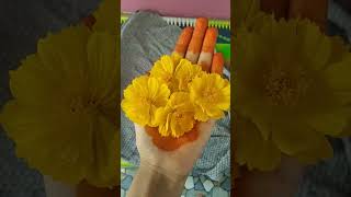 Hey rangula rangula song in beautiful flowers 🌺 [upl. by Layol]