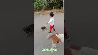 Chinki Pinki kaha bhag rahi uo 🤔🤔🤔🤪trendingshorts funny [upl. by Ahseyi892]