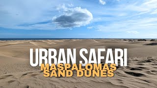 Walking and discovering the Sand Dunes of Maspalomas 4K60fps [upl. by Nirual311]