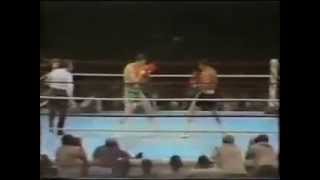 KO 6  GERRY COONEY vs KEN NORTON [upl. by Uy]