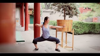 8 Brocades Qigong Practice [upl. by Jermyn]