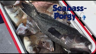 Fishing for Porgy Scup amp Black Sea Bass out of Hyannis Massachusetts [upl. by Tiedeman60]