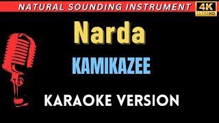 Narda  Kamikazee HD Karaoke Version [upl. by Sseb]