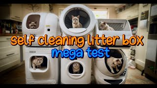 Self Cleaning Litter Box Mega Test LITTERROBOT 4 REVIEW [upl. by Haidej381]