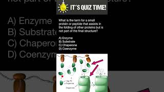 How Proteins are folded [upl. by Saoj505]