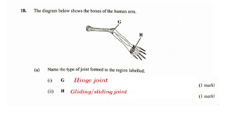 BIOLOGY KCSE 2022 Biology paper 1 Questions and answers for biology  High school biology [upl. by Ardnuas]