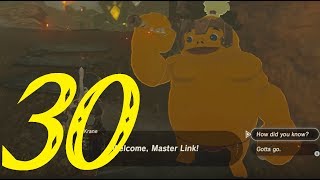 Too Hot to Handle  Zelda Breath of the Wild 100 Walkthrough quot30127quot No Commentary [upl. by Ardnohs]