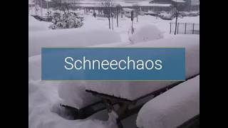 Schneechaos rund um Flensburg 01032018 [upl. by Wj512]