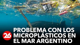 Detectan gran cantidad de microplásticos en el Mar Argentino [upl. by Cloe]