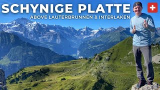 Guide to Schynige Platte  Alphorns Edelweiss Swiss Food amp Hiking near Grindelwald amp Interlaken [upl. by Yevoc]