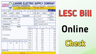 How to Check LESCO Bill Online  Download LESCO Bill  LESCO Electricity Bill Check Online 2024 [upl. by Balfour]