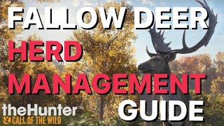 Ultimate Herd Management Guide for Fallow Deer Great One Grind on the Hunter Call of the Wild [upl. by Vtarj]