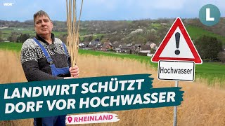 Miscanthus als Hochwasserschutz Wie kann die Superpflanze helfen  WDR Lokalzeit LandSchafft [upl. by Faires]